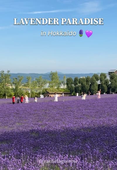 Lavender paradise in Furano, Hokkaido 💜🫶🏻 #fyp #lavender #lavenderfarm #hokkaido #sapporo
Tagged 