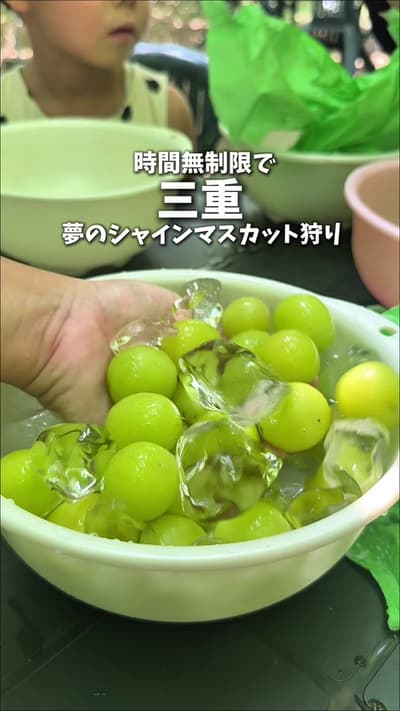 ちゃんみなとよろこば食堂の店長と行ってきたよ〜！ まさかのシャインマスカットを…！ 時間無制限で食べ放題できるって最高すぎる💗 しかも、実がめちゃめちゃでっかいし、美味しすぎた✨ ちなみに、シャイン