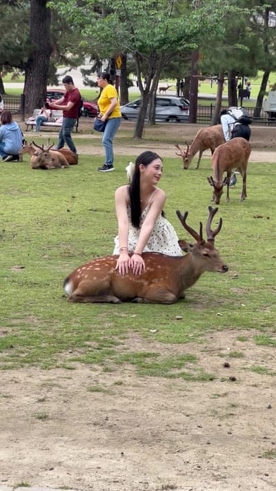 Best Things to Do in Nara 🇯🇵 | Deer Temples & Hidden Gems 🦌⛩️
Tagged location: NARA PARK — NARA P