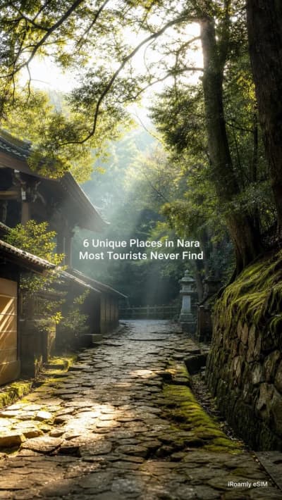 Nara has quiet corners far beyond the deer park and temple crowds. 🦌 💐Wander flower-framed Hannya-