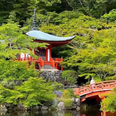 10 of the best places to visit in Kyoto 🇯🇵 

Over the years I’ve spent a huge amount of time explo