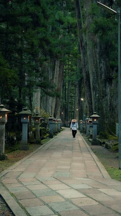 高野山 Mount Koya – Wakayama, Japan 和歌山県にある高野山は、真言密教の聖地として知られる世界遺産です⛰️ Mount Koya in Wakayama, Japan – 