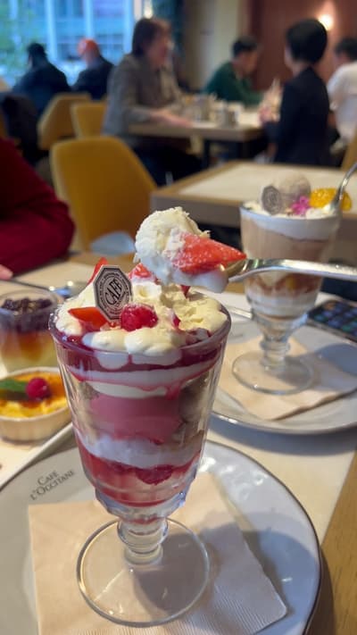 SHIBUYA’S BEST CROSSING VIEW CAFÉ?! 💛📸 📍 L’OCCITANE Café SHIBUYA TOKYO One of the BEST photo spot