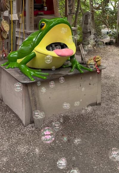 #japandiaries don’t miss this frog temple in kyushu! 🫧🐸⭐️ #traveldiaries #kyushu #japan #fukuoka
T