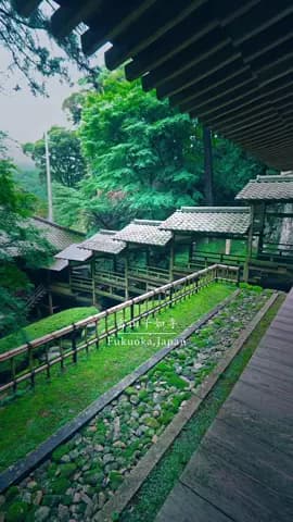 緑に包まれる、静寂の古刹。 A peaceful temple embraced by lush greenery. 📍福岡県【雷山千如寺】 / 🇯🇵 Raizan Sennyoji Templ