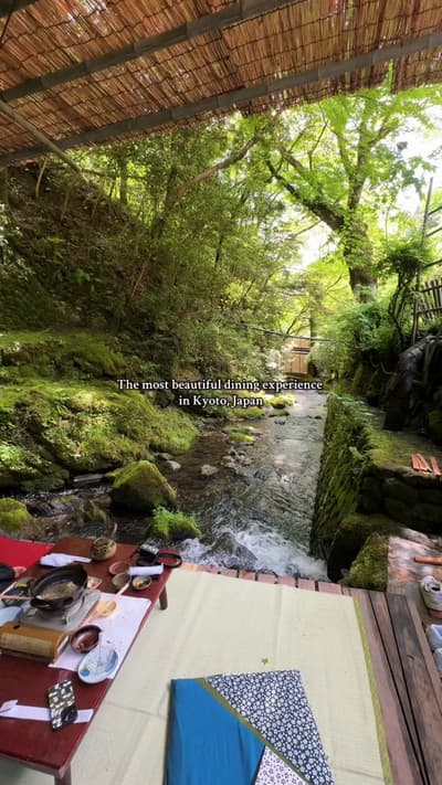 Riverside lunch🧺🍱 #japan #kyoto #kyotojapan #travel #traveljapan #japantok #japantiktok #japanthin