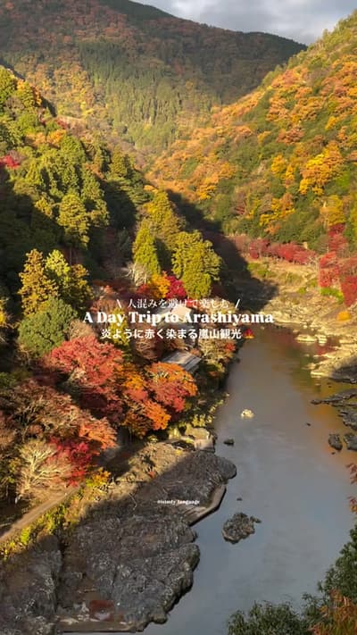 📍炎のように赤く染まる嵐山観光 / A Day Trip to Arashiyama in Kyoto 京都の西側に位置する竹林やモンキーパークが有名な嵐山🎋周辺には食べ歩きスポットが多く、観光地