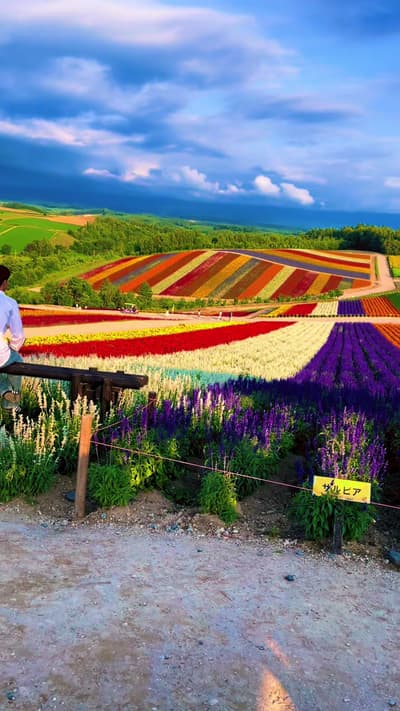 If heaven had a flower field, it would look like this 🌈 I think i found it ✨ #shikisainooka #hokkai