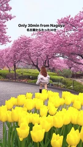 Just 30min bus ride from Nagoya, and it felt like stepping into a dream 🌼✨ Nabana no Sato was in pe