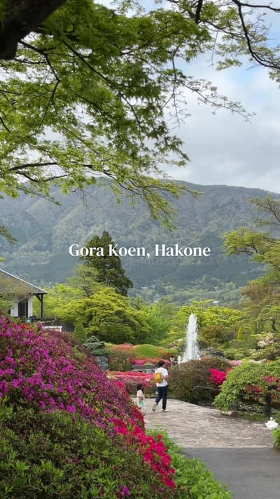 another one day trip from Tokyo destination: Gora, Hakone 🤩 this park / flower garden is so peacefu