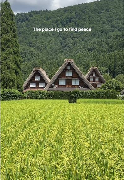 Ghibli countryside village in Japan 🌾🛖 📍 Shirakawa-Go, Gifu #fyp #japan #shirakawa #foryou #Summe