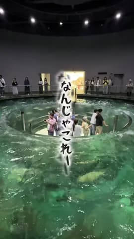 今回は、水族館以上の体験ができる、テーマパーク型水族館をご紹介しました✨ もう、想像してたよりもめちゃめちゃ良かった感動した🥹✨ 1番びっくりしたのがフィッシュダンス！ 水槽の中に自分が沈める体験な