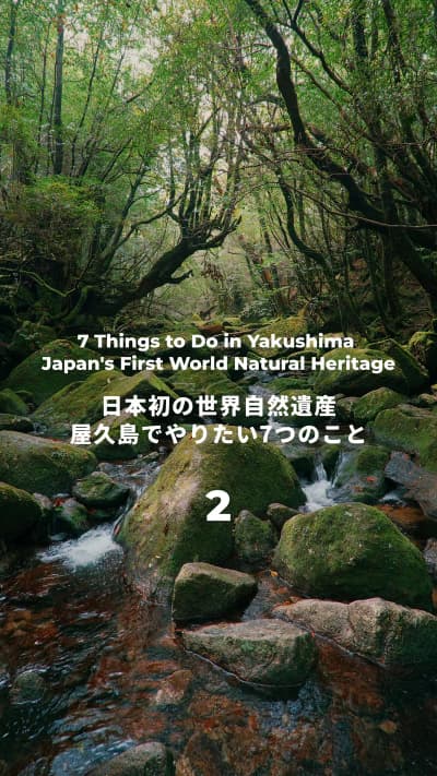 日本初の世界自然遺産は屋久島とあともう1ヶ所あるんだけど、どこでしょう！ #屋久島 #yakushima #屋久島旅行
Tagged location: Yakushima — Yakushima, 