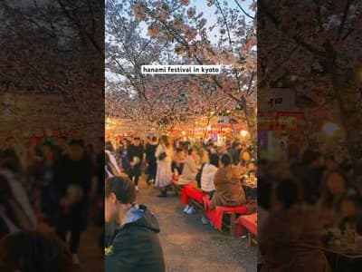 Hanami festival is happening now in kyoto🌸 #kyoto#japantravel#spring