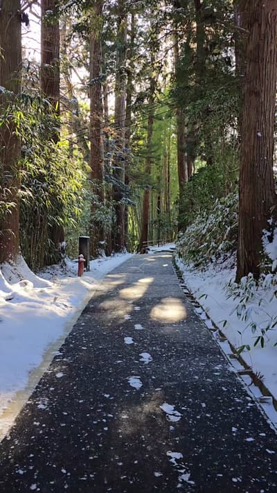 Chūsonji Temple, à Hiraizumi, dans la préfecture d’Iwate, au nord du Japon, sous la neige ⛩️❄️ #japa