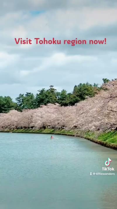 Best Tohoku spots - Hirosaki Park  - Ashino Park - Kakunodate - #japancherryblossom #tohokujapan
