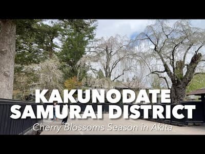Things to do in Kakunodate Akita Japan - Samurai District Cherry Blossoms Festival