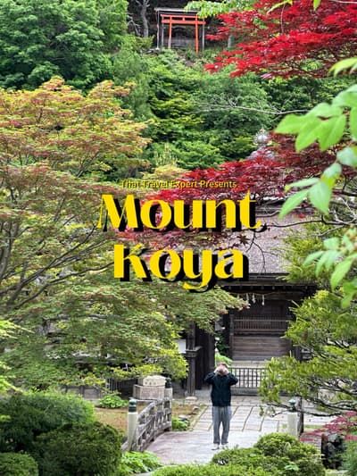 Under 3 hours from Osaka by train, Mount Koya or “Koya-San”, is a peaceful oasis of quiet temples, f