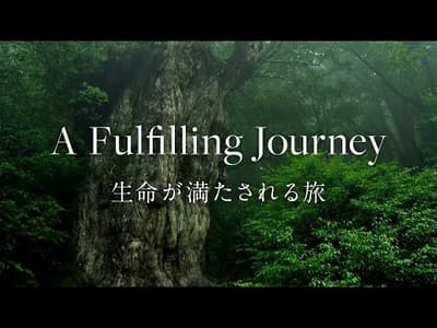 [屋久島 | Yakushima] A Fulfilling Journey | 生命が満たされる旅 [Commercial] [4K]