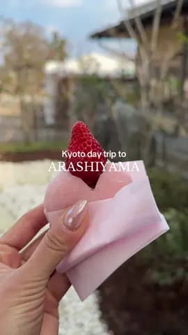 our dreamy day trip to arashiyama 🌿⛩️ 📍Arashiyama, Kyoto started at the bamboo forest, wandered th