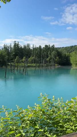 Summer in Japan Day 4 💎 All the places we explored in Biei, Hokkaido: 📍Shirogane Blue Pond 📍 Shir