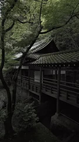 Eikando (Kyoto) / 永観堂 The fresh greenery at Eikan-do Temple in Kyoto is incredibly beautiful🥰🌿🏯 P