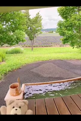 Found paradise in Furano, Japan! 🌸 Just dipped my feet into a hot lavender footbath while overlooki