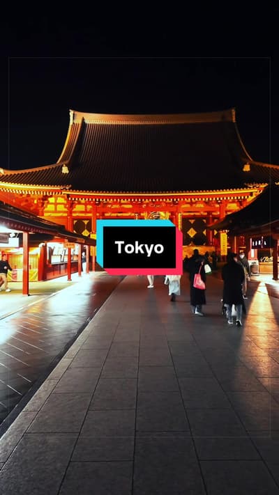 Cette ville dort jamais la vibe est folle! A faire une fois dans sa vie ! #voyagejapon #japon #tokyo