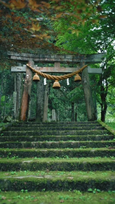 📍那比新宮神社【岐阜】 Gifu - Nabi Shingu Shrine 深い森に囲まれた静かな神社。 苔むした石段や澄んだ空気が広がり、一歩足を踏み入れると、まるで異世界へ迷い込んだような幻想的