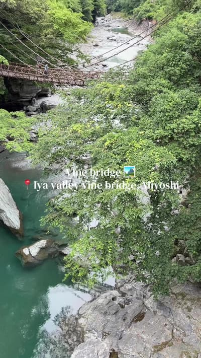 Natural vine bridge meets the crystal-clear river 🏞️ #wanderjapan #japantravel #miyoshi #iyavinebri