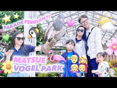 WISATA DI MATSUE VOGELPARK SHIMANE JAPAN‼️BISA PEGANG PENGUIN LANGSUNG BESTI