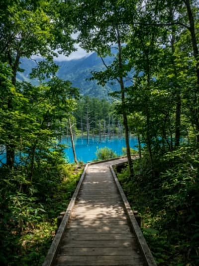 This pond's electric blue color has nothing to do with a filter. 💙🌲✨ July 2026. Standing on the bo