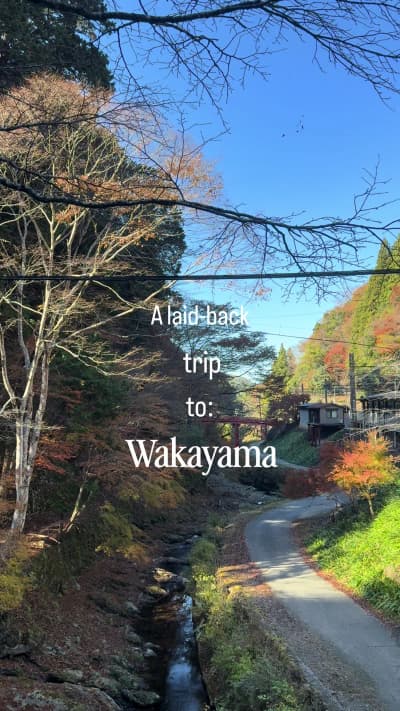 Oh man. If your looking for a uncrowded kyoto-vibes place. You gotta visit Koyasan here in Wakayama 