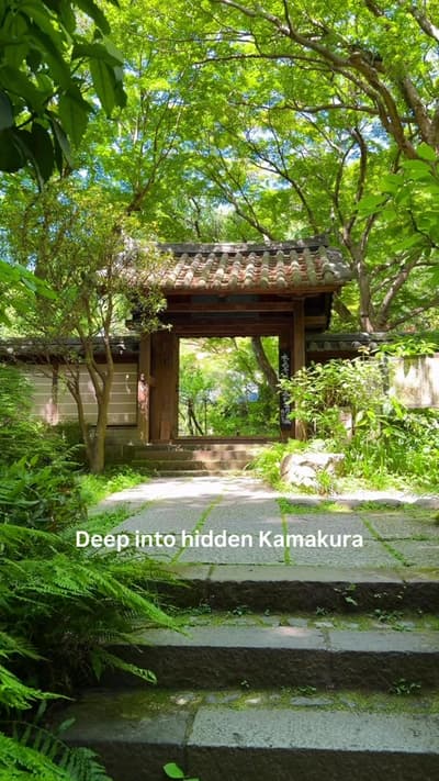 Deep into hidden Kamakura... 🌿 If you want to escape the crowds in Tokyo, Zuisen-ji Temple offers t