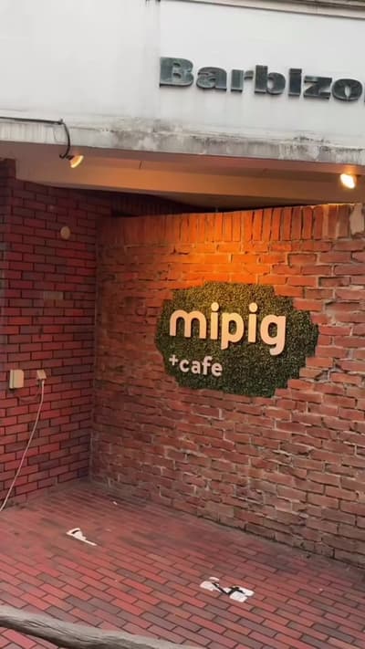 ofc we had to go to the famous pig cafe in japan! the cutest experience ever!! 🐷💕 #pigcafe #haraju