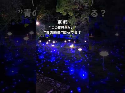 【この夏限定開催】京都の"青の絶景"知ってる❓💙