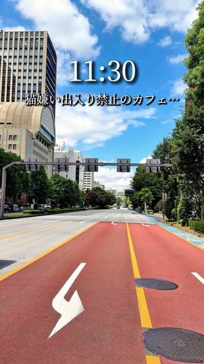 東京をふらっと歩いて、いい店だけ紹介。 カフェとごはんときどき寄り道 保存してあとで行けるように💡 ---------------------------------------------- 猫好