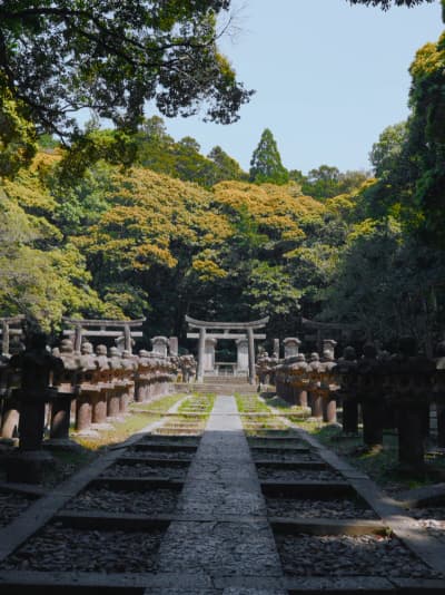 . "Experience centuries of serenity in a historic sanctuary." 📍Hagi City,Yamaguchi ー Tokoji Temple 