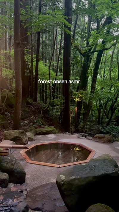 Out of office, do not disturb, not circling back, don’t ping me. #japaneseonsen #japanrecommendation