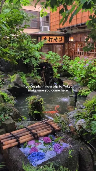 My favourite area in Tokyo 🌿🧚

Jindaiji sits out in Chofu and it'll take you around an hour to get