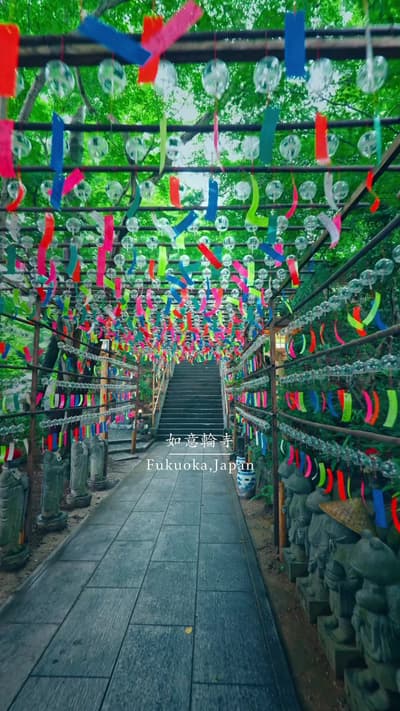 カエルと風鈴が彩る、夏のお寺 A temple where frogs and wind chimes welcome summer 📍福岡県【如意輪寺（かえる寺）】 / 🇯🇵Nyoirin-j