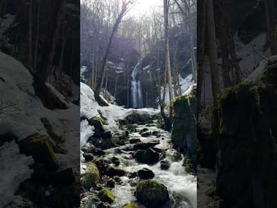 Oirase Gorge - Aomori, Japan🇯🇵