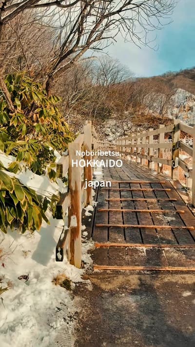 Noboribetsu Hell Valley, Hokkaido, Japan. 📍北海道登別地獄谷 #hokkaido #japan #japantravel #北海道旅行 #登別
Tagged