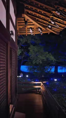 Shorenin- monzeki (Kyoto) / 青蓮院門跡 "Souda Kyoto e Ikou"(Let’s Go Kyoto) Presents: Summer Lights of th