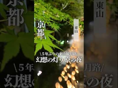 【京都・東山】心に灯る京都の夏　東山観月路 #東山観月路#ねねの道 #bamboo temple #bamboo fores