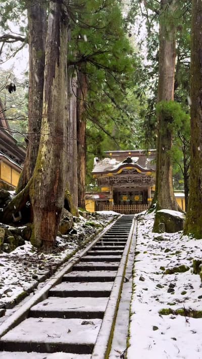 雪の永平寺が美しかった❄️☃️ 🗾📍永平寺 / 福井 ⁡ この日は雪だけでなく雷まで鳴っていて凄い雰囲気でした☃️⚡️ ⁡ ちなみに永平寺は日本一修行が厳しいお寺として有名です。 #永平寺
Tag
