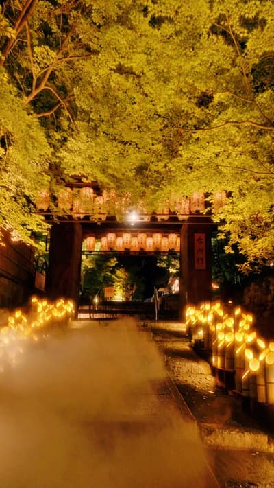 東山観月路-復活の灯り- Higashiyama Bamboo Light-Up 開催期間 2026年7月11日（土）～8月23日（日） ※8月10日は休業日 18:00-22:00 ※最終入場21: