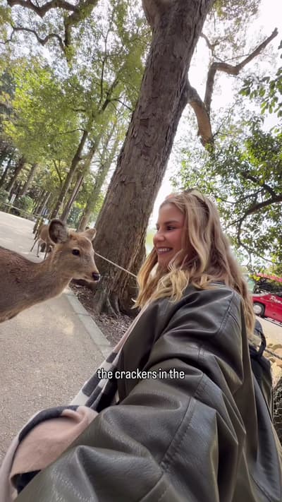 The best itenerary for Nara park!🌸🦌 . . #narapark #naradeer #solotriptojapan #solotravelwoman #tra