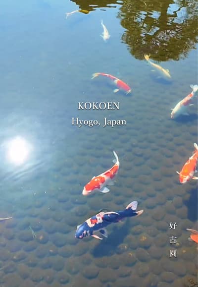【Koko-en Garden｜好古園】 Honestly, I almost skipped this. After the castle, I was tired — but 200 meters