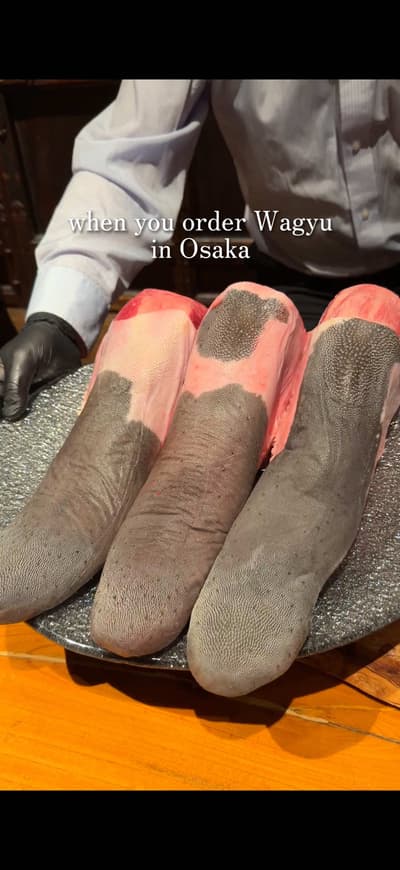 A premium steak & yakiniku dinner in Shinsaibashi, Osaka 🥩✨ Tajimaya Shinsaibashi is a great choice